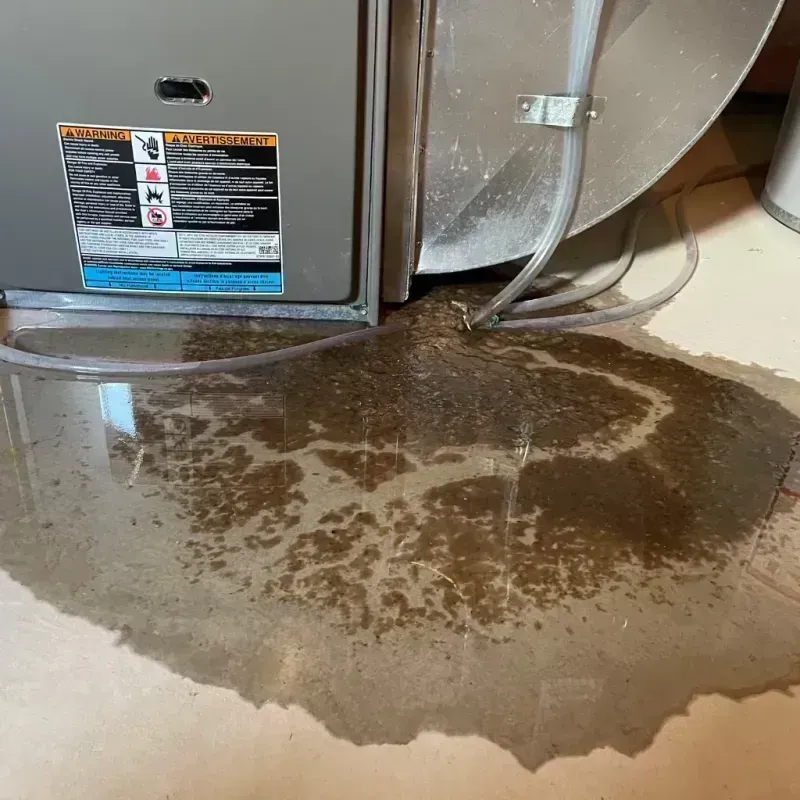 Appliance Leak Cleanup in Rowan County, KY